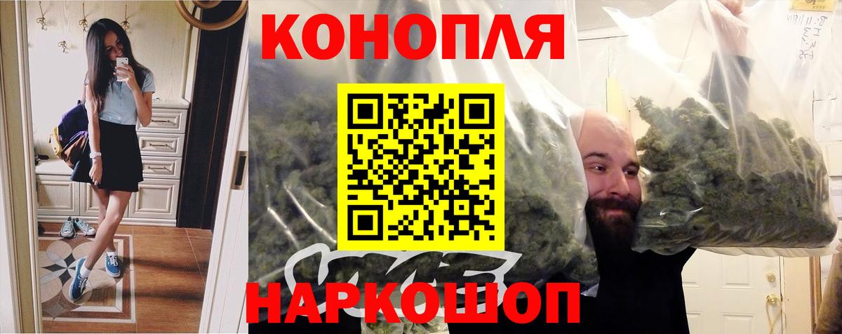 Конопля сатива Мценск